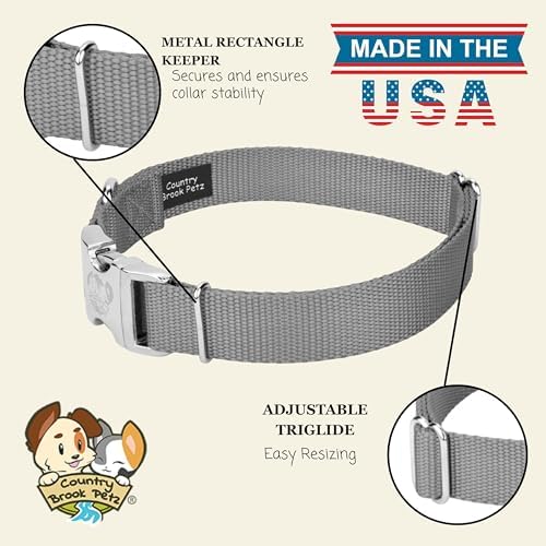 Country Brook Petz - Premium Nylon Dog Collar with Metal Buckle for Small Medium Large Breeds - 30+ Colors (Large, 1 Inch, Silver)