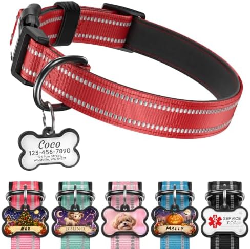 Personalized Dog Collar and Dog Tag Set,Comfortable for Medium Large Dogs