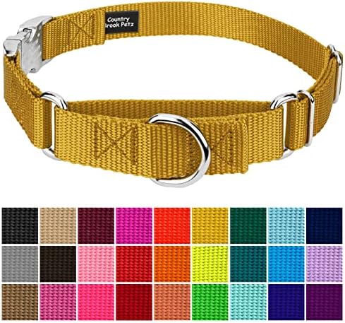 Country Brook Petz - Martingale Dog Collar - Heavy Duty Nylon Adjustable Martingale Dog Collar with Metal Buckle for Small Medium Large Breeds - 30+ Color Options (1 Inch, Extra Large, Gold)