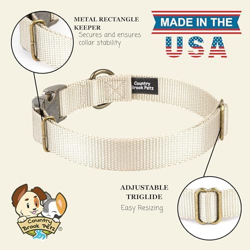 Country Brook Petz - Premium Nylon Dog Collar with Metal Buckle for Small Medium Large Breeds - 30+ Colors (Small, 3/4 Inch, Almond)