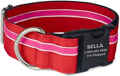 If It Barks Personalized 1.5" Striped Dog Collar - Engraved Name - Custom Size, Shortcake