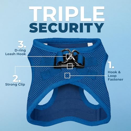 Best Pet Supplies Voyager Step-in Air All Weather Mesh Harness and Reflective Dog 5ft Leash Combo with Neoprene Handle, for Small, Medium and Large Breed Puppies - Royal Blue, XX-Small