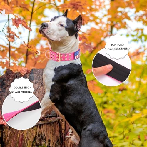 Heavy Duty Dog Collar for Medium Large Dogs,Pink,Medium