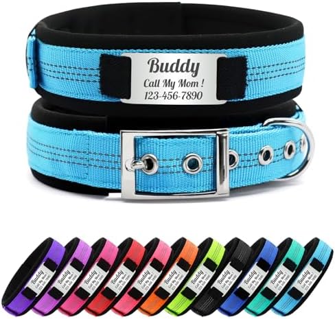 Personalized Nylon Dog Collar with Name Tag (Sky Blue, L)