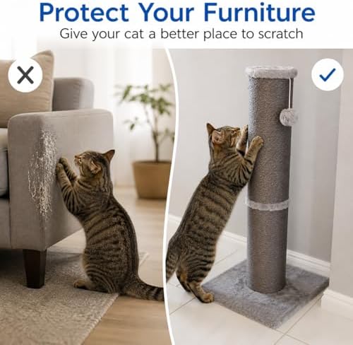 Cat Scratching Post with 5.5 Inch Diameter Sisal Post, 32 Inch, Grey