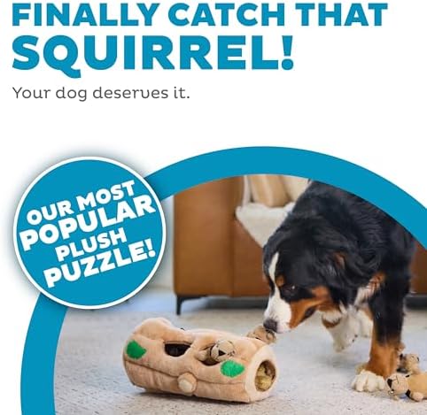 Outward Hound Hide-A-Squirrel Dog Toy – Interactive 2‑in‑1 Plush Puzzle with 6 Squeaky Removable Squirrels, X Large (Pack of 8)