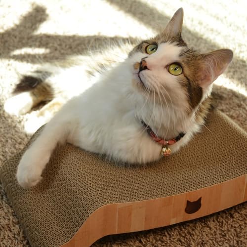 Necoichi Cardboard Cat Scratcher Couch for Indoor Cats - Cat Scratching Board, Horizontal Cat Scratch Pad Lounger with Reversible Usability and Extra Comfort for Lounge, Curved (17" Regular, Oak)