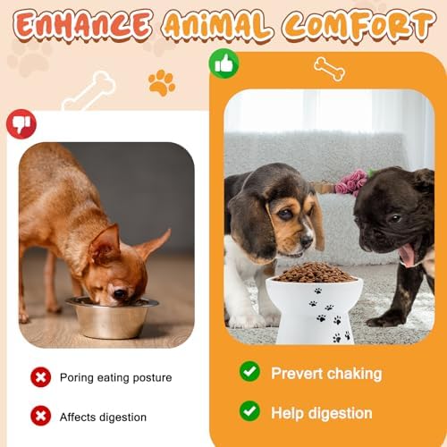 Teenyyou 2 Pack Elevated Dog Bowls for Small Dogs and Cats, 3.7" H x 4.8" W