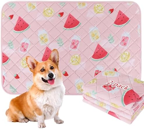 BVAGSS Washable Pee Pads for Dogs, 2-Pack Reusable, Leakproof, Waterproof, Super Absorbent, Watermelon, 36x24 Inch