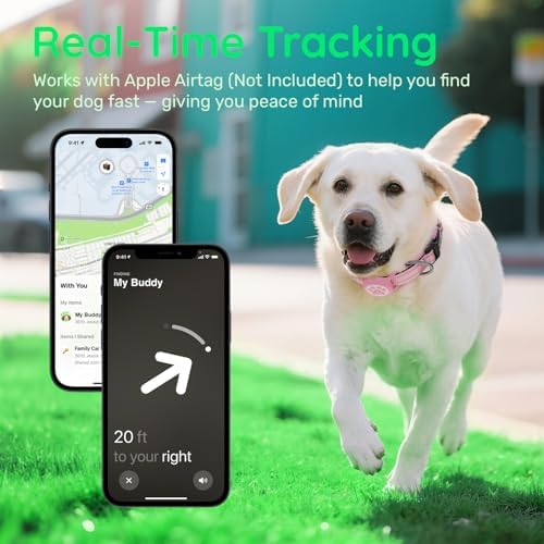 Premium Airtag Dog Collar，with IP68 Waterproof AirTag Holder,Pink,S