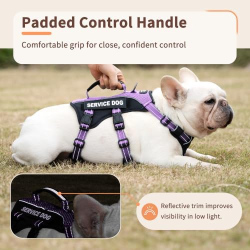 Huntboo Service Dog Vest Harness, Escape Proof Harness with 6 Patches, No-Pull, Reflective Harness with Handle, Adjustable for Small to Large Dogs, for Training and Hiking (Lavender Purple, XS)