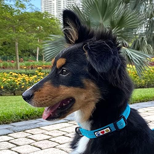Pawtitas Recycled Dog Collar with Reflective Stitched Puppy Collar Made from Plastic Bottles Collected from Oceans Medium Orange Habanero