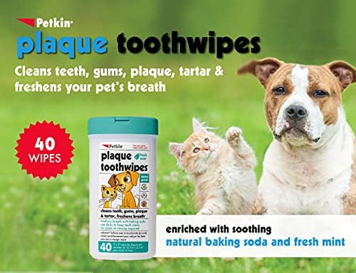 Petkin Cat and Dog Dental Wipes, 40 Wipes (Fresh Mint) - Natural Formula Cleans Teeth, Gums & Freshens Breath - for Daily Use - Convenient Dog Dental Care - 1 Pack of 40 Wipes