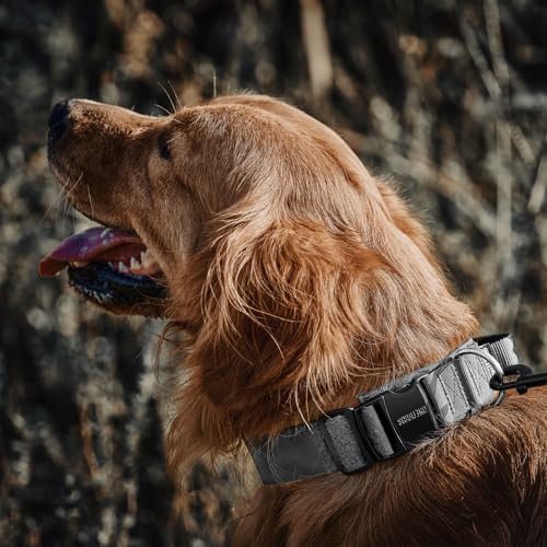 OneTigris Tough Tactical Dog Collar for Small Dogs with Handle Gray S