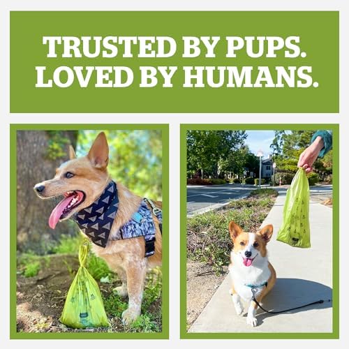 Pogi's Dog Poop Bags with Handles, Unscented, 900 Large Bags, Extra Thick