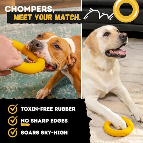 Indestructible Dog Chew Toy - Lifetime Replacement - Durable Toy for Aggressive Chewers - Safe Non-Toxic Natural Rubber - Chew, Tug & Fetch - Tough, Heavy Duty - Med/Large Breed, 6.5”x1.25”