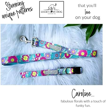 Lucky Love Dog Collar and Leash Set Matching Cute – Caroline, X-Large