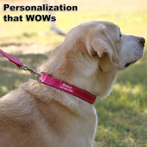 Personalized Dog Collars Custom with Pet Name & Phone for Small Medium Dogs