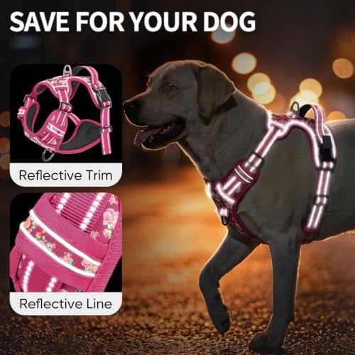HEELE Dog Harness, Reflective, No Pull No Choke, Flower Rose, S