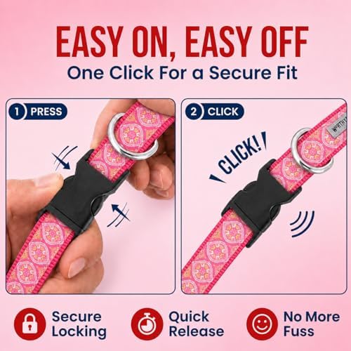THE WORTHY DOG Summer Print, Adjustable Dog Collar, Large Dogs, Medallion