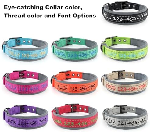 Personalized Dog Collar, Custom Embroidered Name & Phone Number