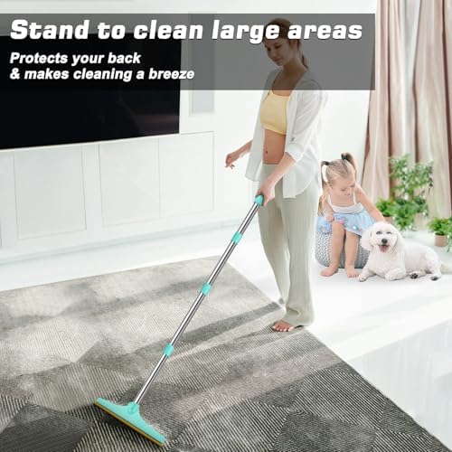 B-Land Carpet Rake for Pet Hair Removal, Reusable Carpet Scraper for Rug