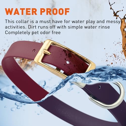 Viper Biothane Heavy Duty Waterproof Dog Collar Strong Coated Nylon Webbing w/Solid Brass Hardware Odor-Proof Easy to Clean High Performance Fits Small Medium or Large Dogs, Merlot Burgundy