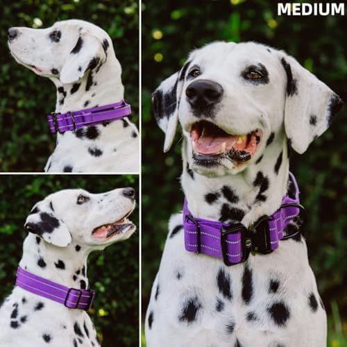 Tuff Pupper Tactical Dog Collar | Heavy Duty 1.5" Wide Ballistic Nylon | Training Control Handle | Quick-Release Metal Buckle | Reflective Bands | ID Tag Holder | Padded Inner Lining (Purple, Medium)