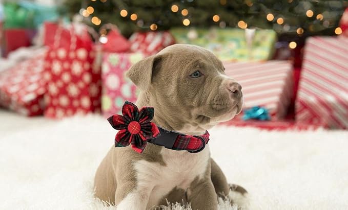 Lionet Paws Christmas Dog Collar with Flower, Soft and Comfortable, Adjustable Collar for Puppies and Cats Girl Gift, Neck 8-12 inches