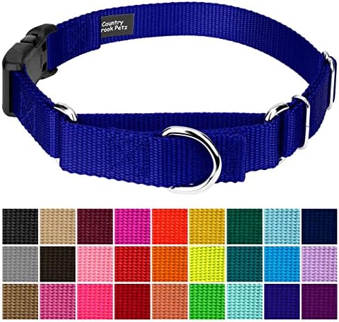 Martingale Dog Collar - Heavy Duty Nylon Adjustable Martingale Dog Collar with Plastic Buckle for Small Medium Large Breeds - 30+ Colors (1 Inch, Medium, Bright Royal Blue)