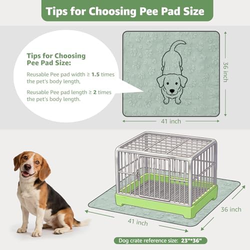 LOOBANI Washable Pee Pads for Dogs,2 Pack Reusable Puppy Pads 36"x41"
