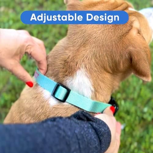 Pawtitas Personalized Dog Collar Medium Dog Collar Embroider with Name Phone Number Puppy Collar Adjustable Customized Collar for Medium Dogs Breeds Puppy Teal Dog Collar