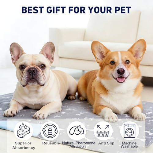 Puppy Pads with Pheromones, Washable Pee Pads for Dogs Potty Training, Reusable Dog Mat with Pet Hair Removal Gloves for Playpen, Crate, Whelping Box (Gray,M)