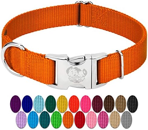 Country Brook Petz - Premium Nylon Dog Collar with Metal Buckle for Small Medium Large Breeds - 30+ Colors (Large, 1 Inch, Orange)
