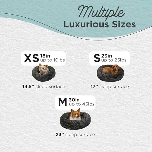 Best Friends by Sheri Original Calming Donut Dog Bed, Mink Dark Gray, 23"