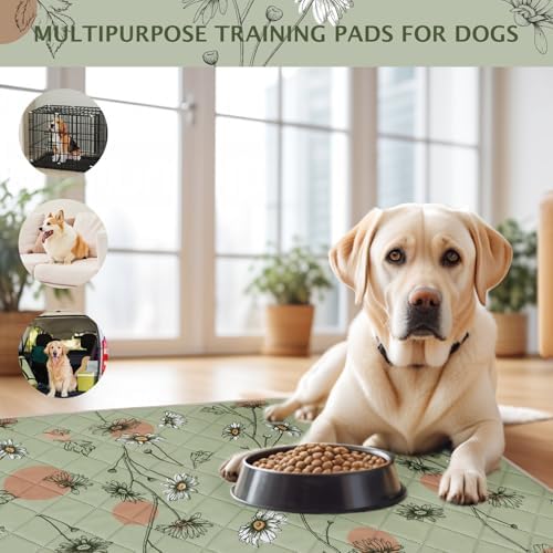 IEUUMLER Washable Pee Pads for Dogs, 2 Pack Non-Slip & Waterproof Pack Whelping Pad, Reusable Washable Puppy Potty Training Pad with Fast Absorbent for Playpen EU007 (Grass Green Daisy, 41"X41"-2pcs)