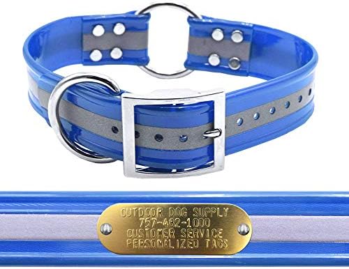 Reflective D & Center Ring 1.5" Dog Collar w Custom Nametag, Purple