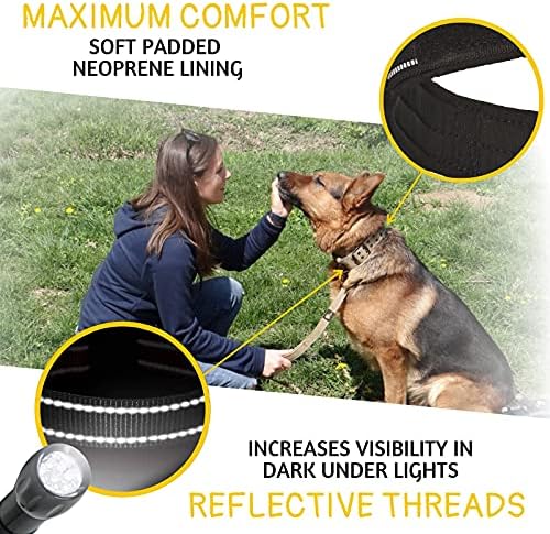 ADITYNA Heavy Duty Black Dog Collar for Medium Dogs with Traffic Handle