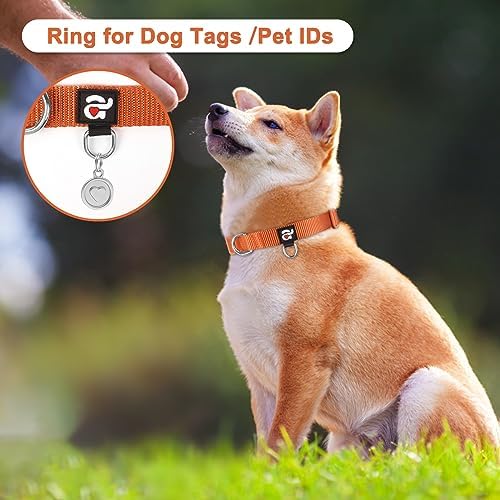 azuza 3 Pack Dog Collars, Soft Nylon Dog Collars for Large Dogs, Brown, L