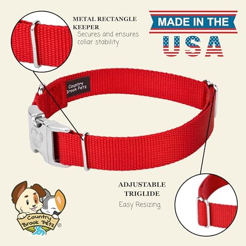 Country Brook Petz - Premium Nylon Dog Collar with Metal Buckle for Small Medium Large Breeds - 30+ Colors (Small, 3/4 Inch, Bright Red)