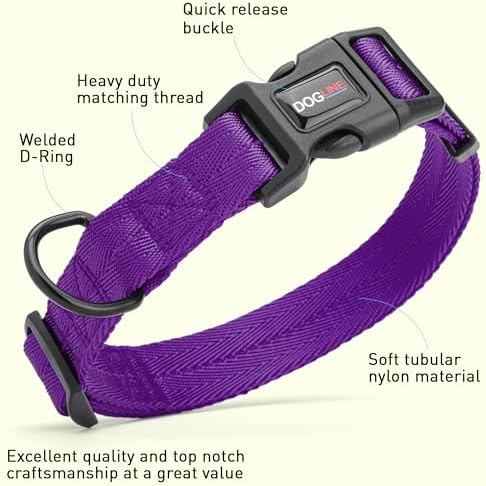 Dogline Purple Customizable Personalized Nylon Collar (W: 1" L: 16"-24")