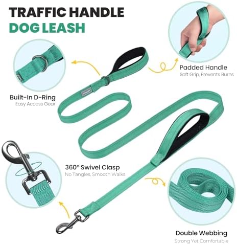 VIVAGLORY Double Handle Dog Leash Twingrip, 5ft x 1in, L, Turquoise