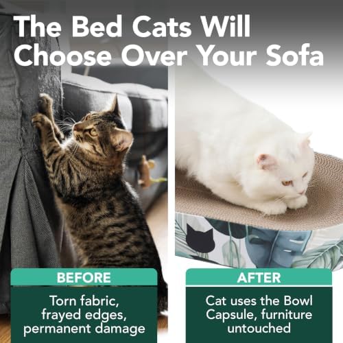 Necoichi Cat Scratcher Bowl Capsule Lounger Bed
