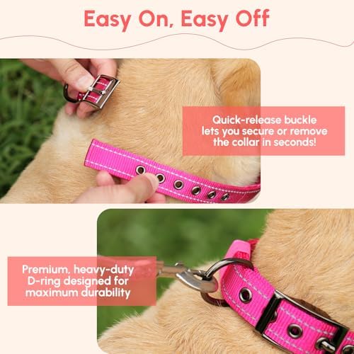 Personalized Buckle Dog Collars - Premium Padding Comfort - Reflective Custom Dog Collar with Name and Phone Number - Small, Medium, Large Dogs - Adjustable Nylon Dog Collar