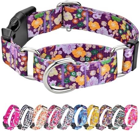 Hikiko Martingale Collar for Dogs with Special Pattern,Adjustable,S