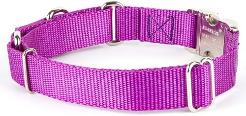Country Brook Petz - Martingale Dog Collar - Heavy Duty Nylon Adjustable Martingale Dog Collar with Metal Buckle for Small Medium Large Breeds - 30+ Color Options (1 Inch, Extra Large, Bright Purple)