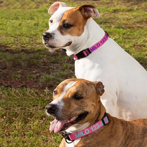Pawtitas Personalized Dog Collar Medium Dog Collar Embroider with Name Phone Number Puppy Collar Adjustable Customized Collar for Medium Dogs Breeds Puppy Pink Dog Collar