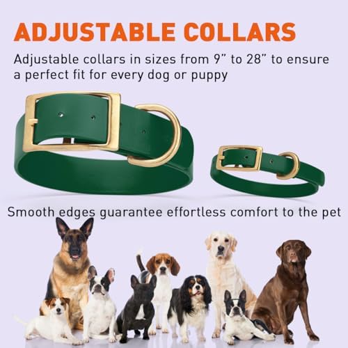 Viper Biothane Heavy Duty Waterproof Dog Collar Strong Coated Nylon Webbing w/Solid Brass Hardware Odor-Proof Easy to Clean High Performance Fits Small Medium or Large Dogs, Hunter Green
