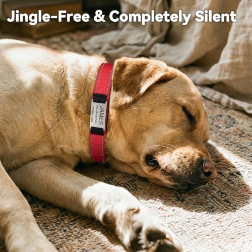 Joytale Personalized Dog Collar with Name Plate Built-in for Medium Dogs