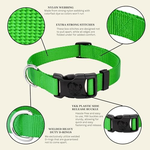 Country Brook Petz - Everyday Nylon Dog Collar for Large, Medium, and Small Dogs and Puppies - for Everyday Use in 30+ Colors (Extra Small, 3/8 Inch Wide, Hot Lime Green)